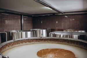 La fermentation est la plus ancienne des biotechnologies.