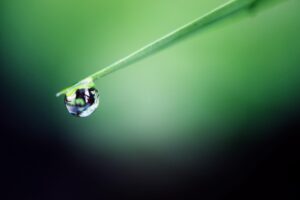 La chimie verte est inscrite dans l’ADN de BGene.