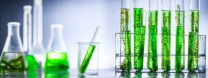 Les carburants issus de la bioproduction sont une alternative aux énergies fossiles