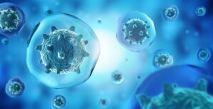 Les microbes comprennent les bactéries, les virus, les champignons et les levures
