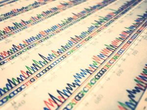 L’ADN et l’ARN sont la base des recherches en biologie moléculaire